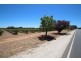 Lot 135 Light Pass Road, Vine Vale SA 5352