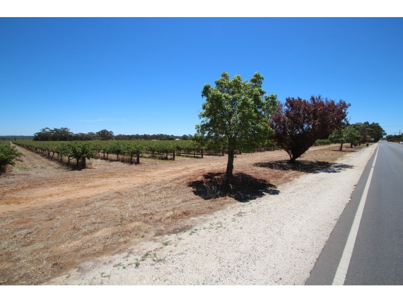 Lot 135 Light Pass Road, Vine Vale SA 5352