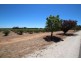 Lot 135 Light Pass Road, Vine Vale SA 5352