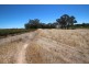 Lot 135 Light Pass Road, Vine Vale SA 5352