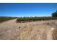 Lot 135 Light Pass Road, Vine Vale SA 5352