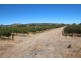 Lot 135 Light Pass Road, Vine Vale SA 5352