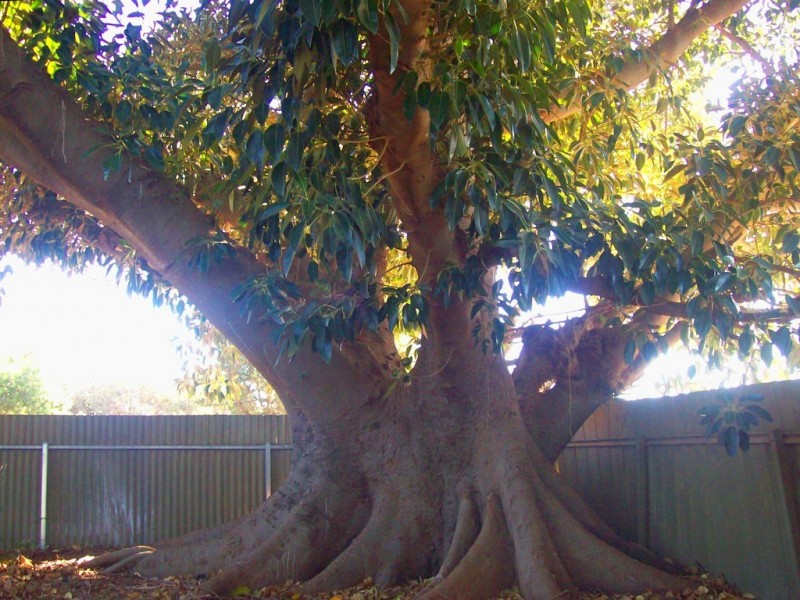 1884 Two Wells Road, Gawler SA 5118