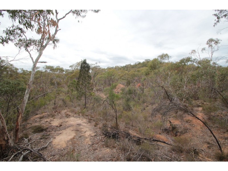 197 Goldfields Road, Cockatoo Valley SA 5351