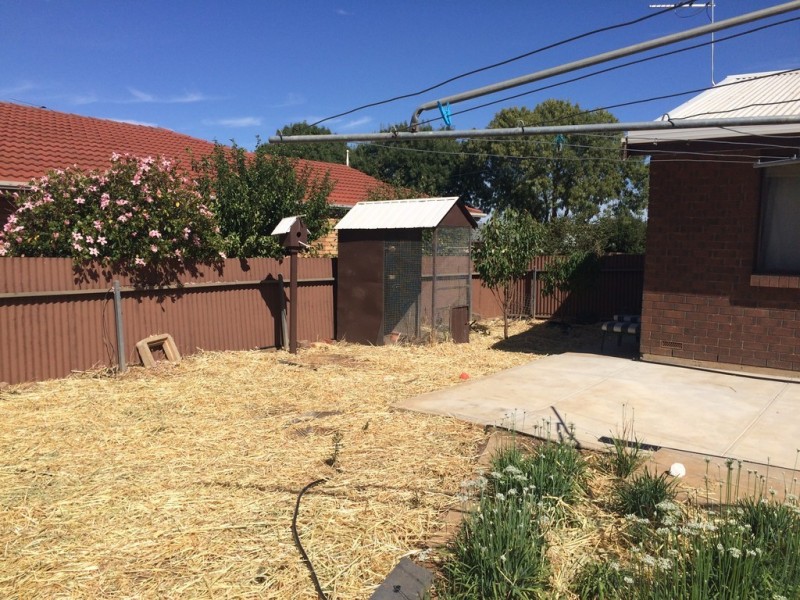 6 White Street, Kapunda SA 5373