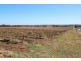 Lot 100 Vine Vale Road, Vine Vale SA 5352