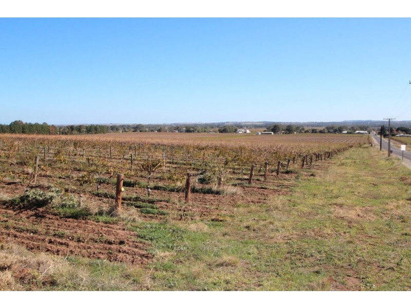 Lot 100 Vine Vale Road, Vine Vale SA 5352