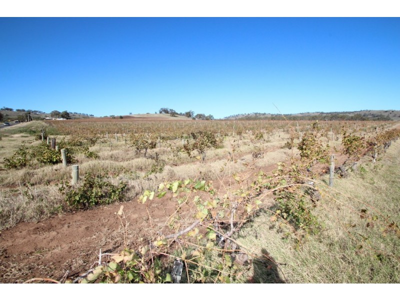 Lot 100 Vine Vale Road, Vine Vale SA 5352