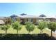 5 Ngadjuri Street, Nuriootpa SA 5355