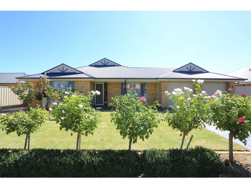 5 Ngadjuri Street, Nuriootpa SA 5355