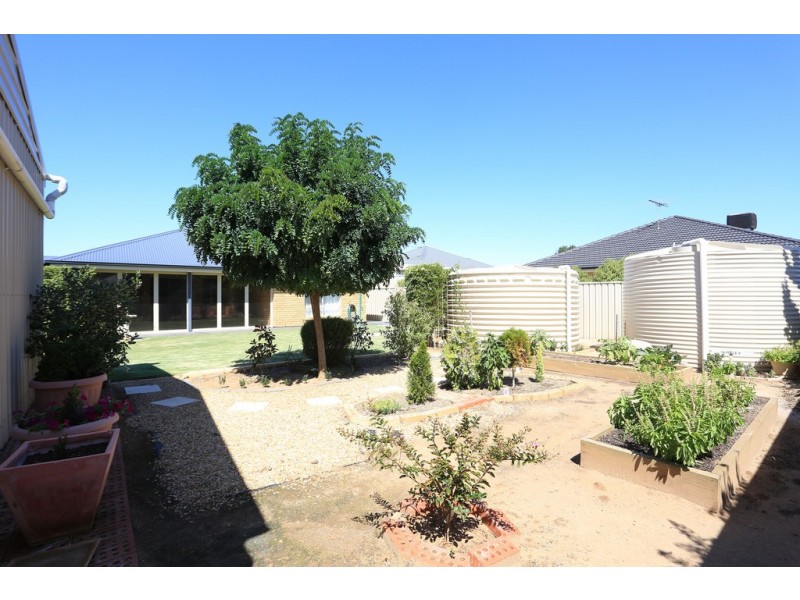 5 Ngadjuri Street, Nuriootpa SA 5355