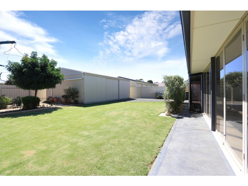 5 Ngadjuri Street, Nuriootpa SA 5355
