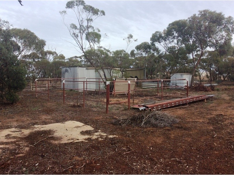 14 Hill Road, Mallala SA 5502