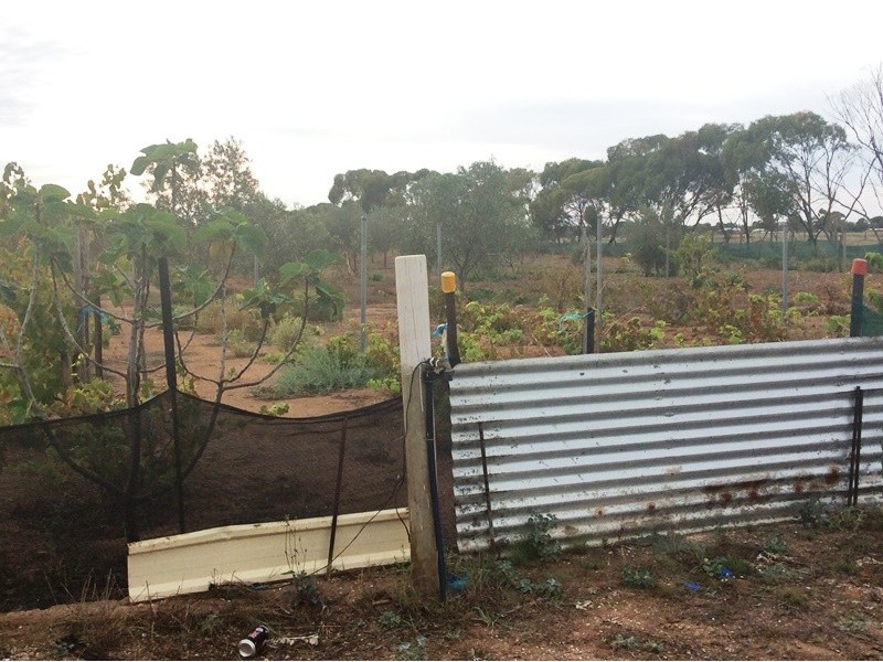 14 Hill Road, Mallala SA 5502