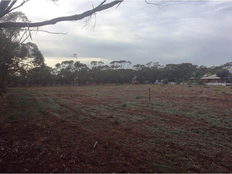 14 Hill Road, Mallala SA 5502