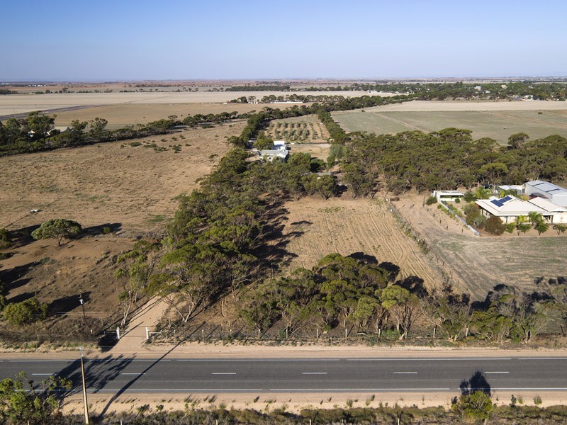 14 Hill Road, Mallala SA 5502