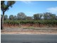Lot 21 Stockwell Road, Stockwell SA 5355