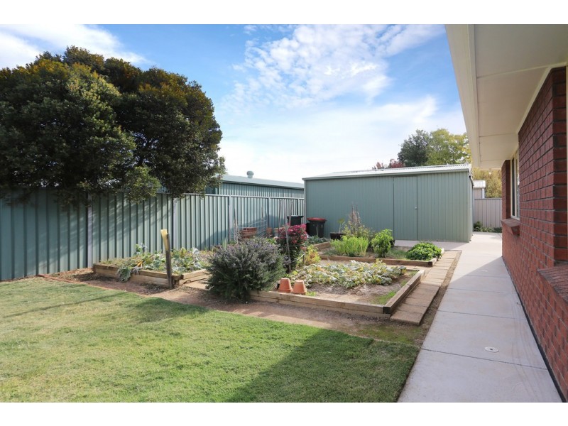 5 Barton Street, Nuriootpa SA 5355