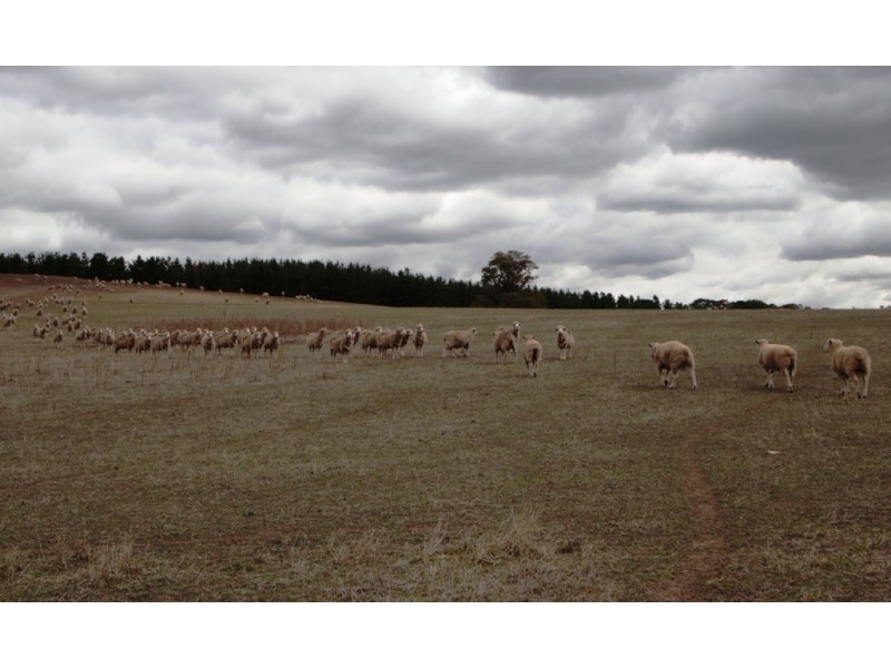 Lot 2 Manser Road, Mount Crawford SA 5351