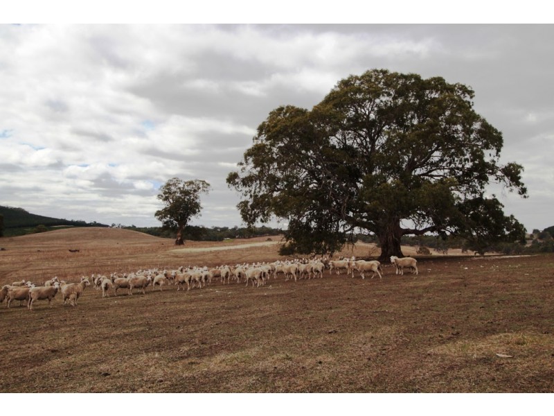 Lot 2 Manser Road, Mount Crawford SA 5351