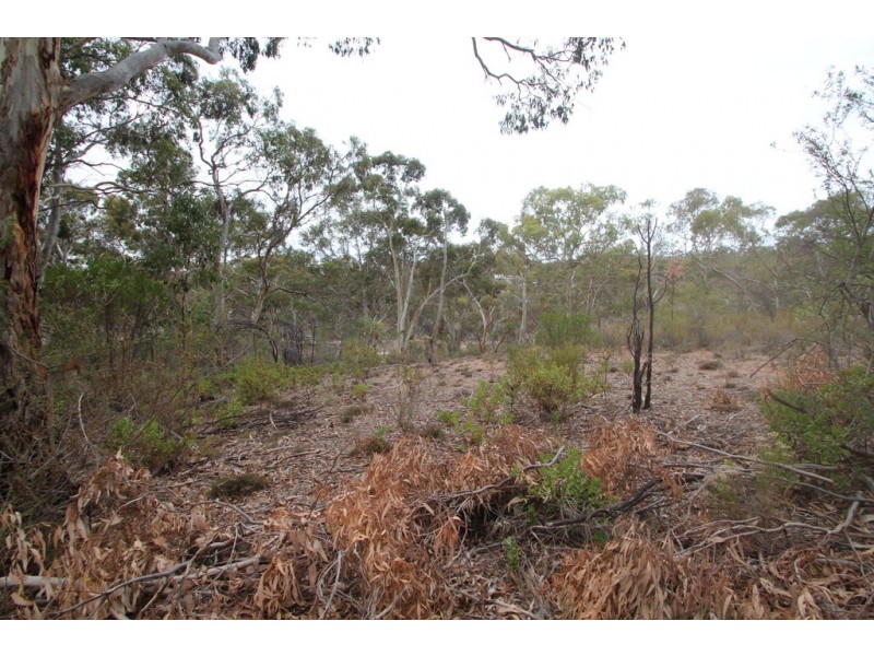 197 Goldfields Road, Cockatoo Valley SA 5351