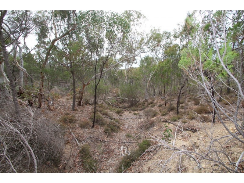 197 Goldfields Road, Cockatoo Valley SA 5351