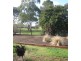 9 Second Avenue, Tanunda SA 5352