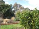 9 Second Avenue, Tanunda SA 5352