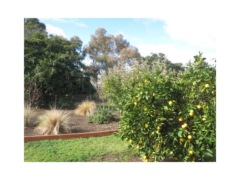 9 Second Avenue, Tanunda SA 5352