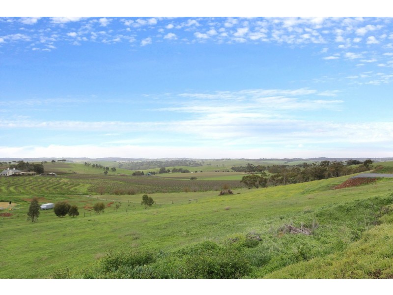 Angaston Moculta Road via Penrice, Angaston SA 5353
