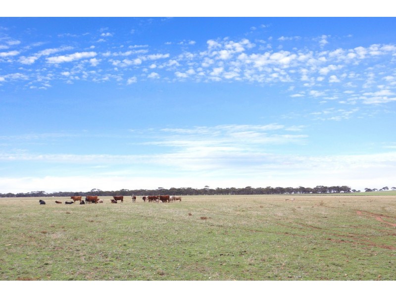 689 Australia Plains Road, Eudunda SA 5374