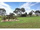 689 Australia Plains Road, Eudunda SA 5374