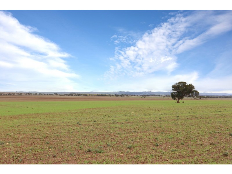 689 Australia Plains Road, Eudunda SA 5374