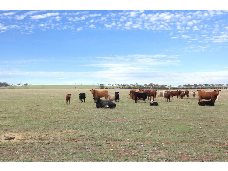 689 Australia Plains Road, Eudunda SA 5374