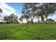 Lot 144 Whiteman Road/Pine Vale Road, Williamstown SA 5351
