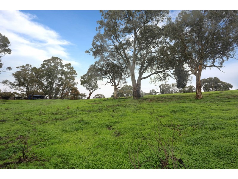 Lot 144 Whiteman Road/Pine Vale Road, Williamstown SA 5351