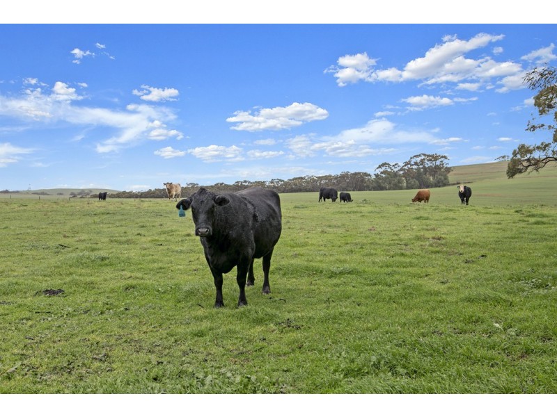 557 Days Hill Road via Salter Springs, Tarlee SA 5411