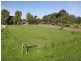 Lot 20 Hillier Road, Hillier SA 5116