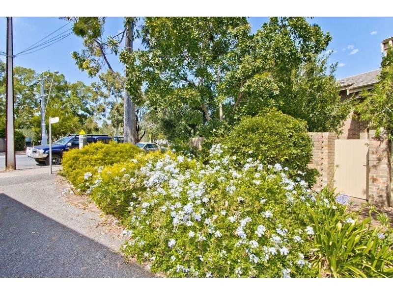 1/121 Walkerville Terrace, Walkerville SA 5081