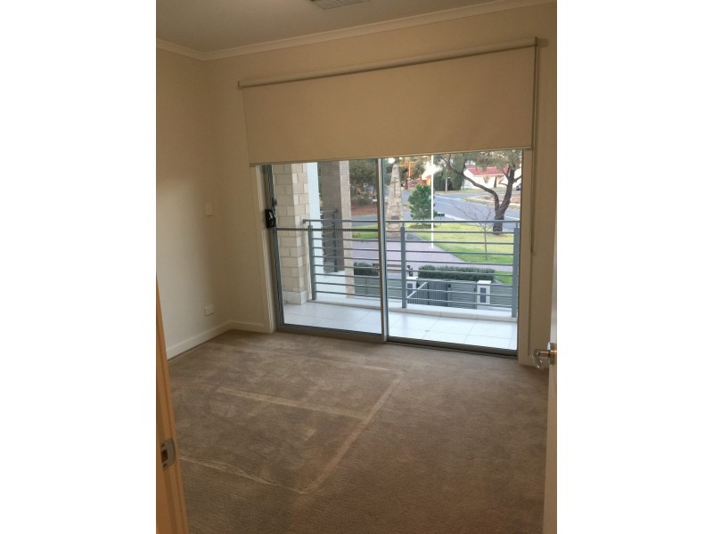 3E Aroona Place, Glenelg North SA 5045