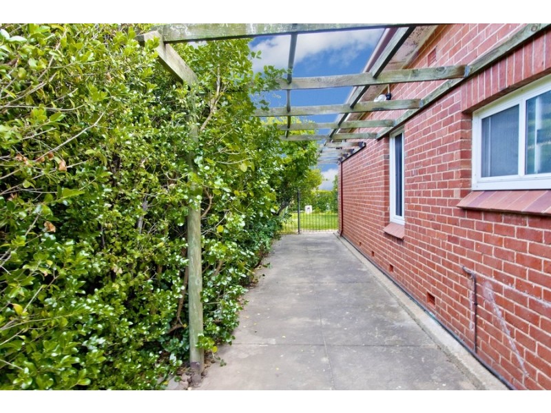 47 Livingstone Avenue, Prospect SA 5082