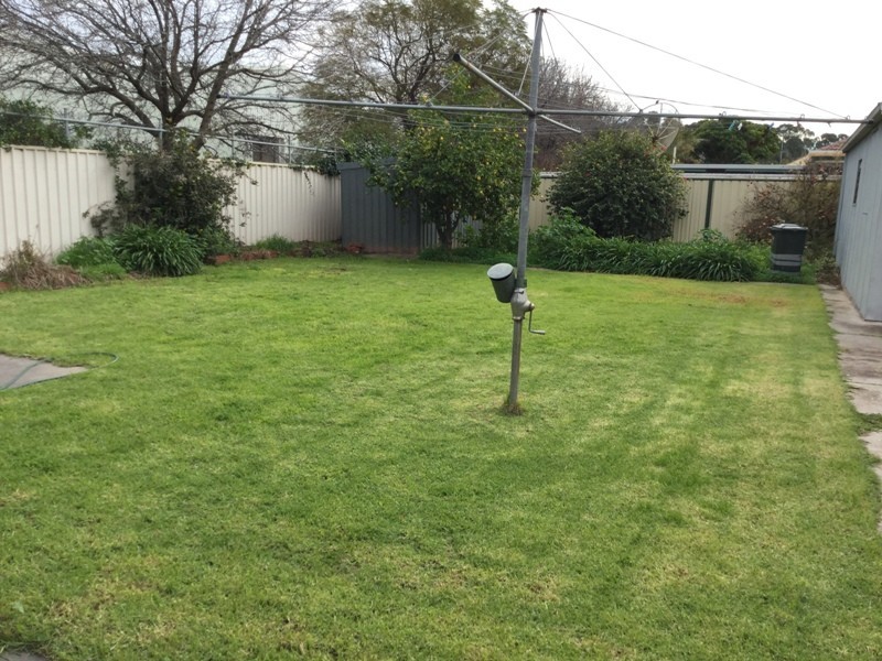 51 Pierson Street, Lockleys SA 5032