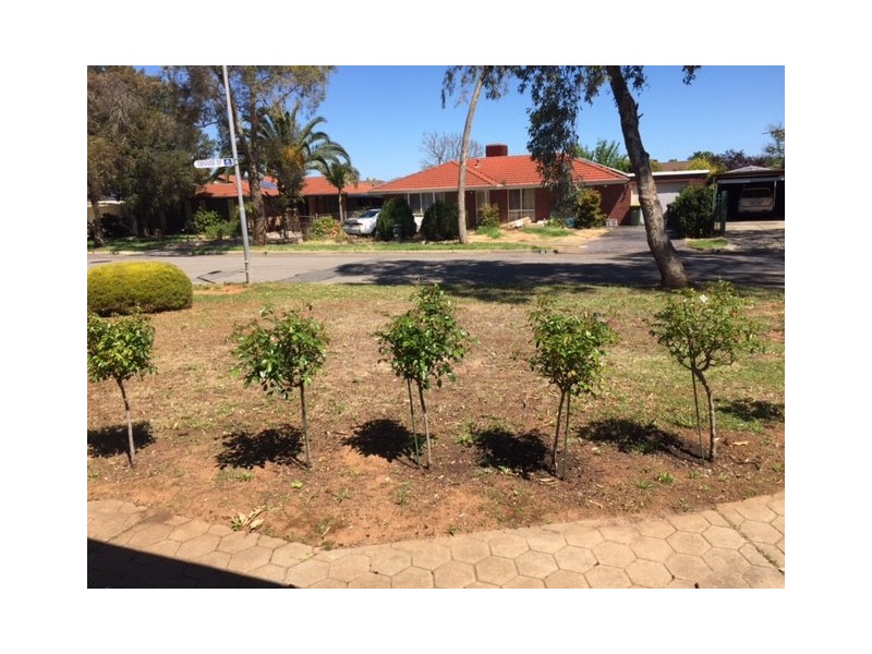 13 Raner Avenue, Parafield Gardens SA 5107
