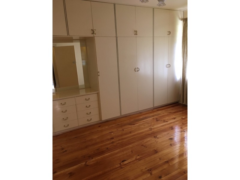 4 Aysgarth Avenue, Hectorville SA 5073