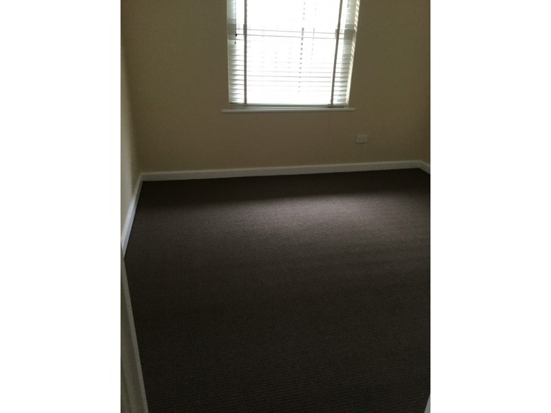 48 Ross Road, Hectorville SA 5073