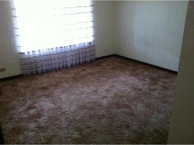 29  Quondong Avenue, Athelstone SA 5076