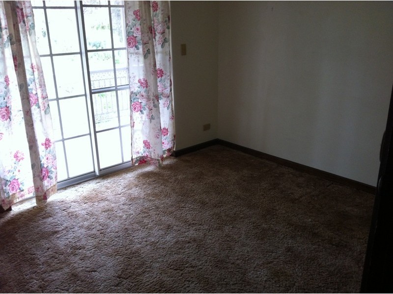 29  Quondong Avenue, Athelstone SA 5076