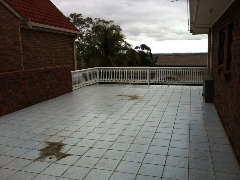 29  Quondong Avenue, Athelstone SA 5076