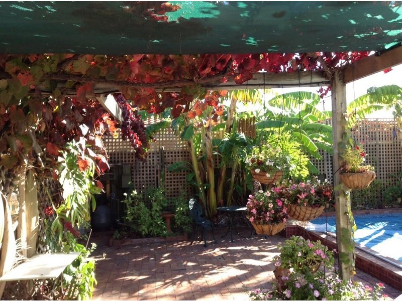 6 North Street, Somerton Park SA 5044