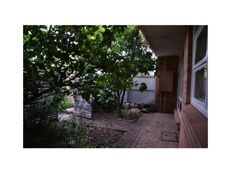 1/25 Roslind Street, Kensington Gardens SA 5068